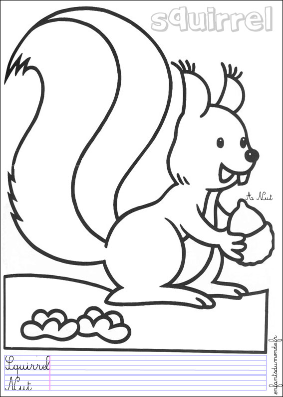 coloriage ecureuil 1